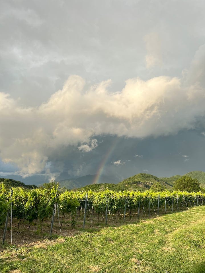 Chubini Winery & Cabins